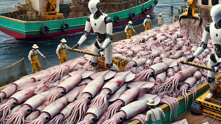 Japanese Fishermen Use Robots To Catch And Process Billions Of Squid And Tuna