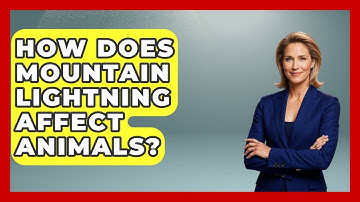 How Does Mountain Lightning Affect Animals? - Weather Watchdog