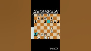 brilliant chess moves  #brilliant #chess #moves