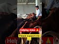 Helping hand Sunny। Help others। Animal Help #help #helping #helpingothers #helpshorts #viral