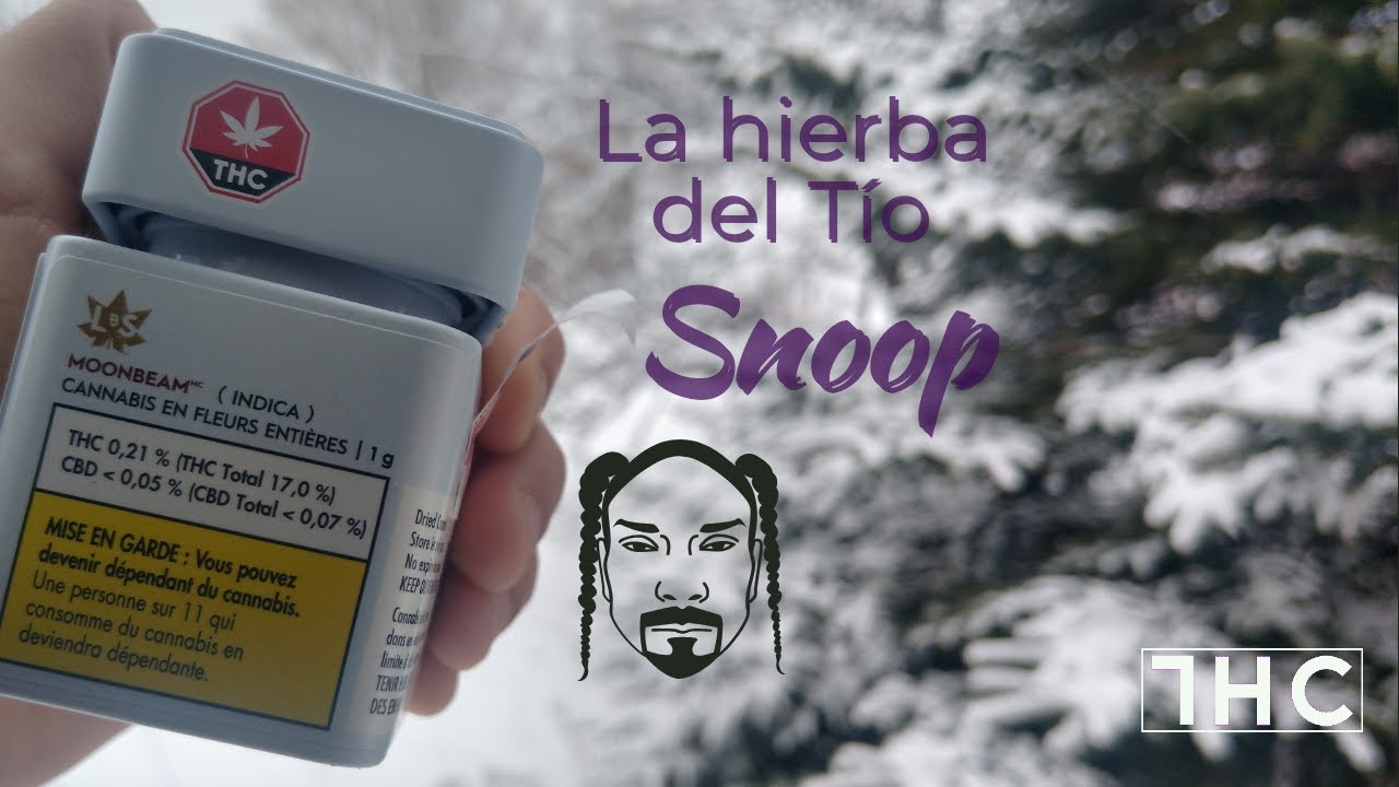 Download Fumando la hierba de Snoop Dogg