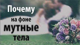 Почему на заднем плане «мутные тела»?! На фотографиях и видео со свадьбы