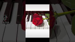 Rose on the piano.  Coloring by numbers.