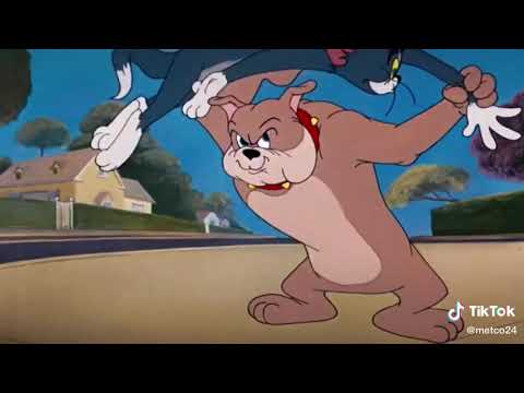 تحشيش مضحك جدا بعد روحي احمد قاسم عراقي فول تحشيش لايك والاشتراك بالقناة