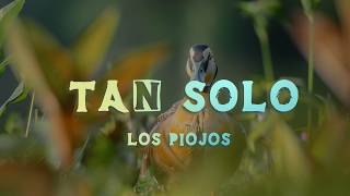 Los Piojos - Tan Solo (Lyrics/Letra)