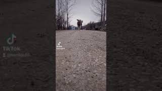 Tik Tok Köpek Akımları