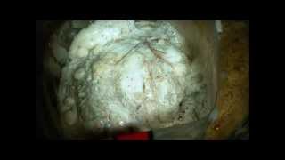 Oakum.wmv