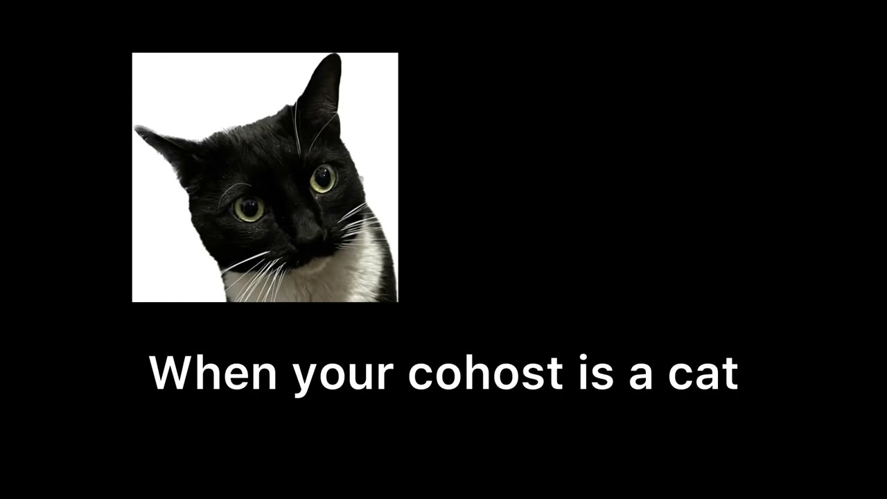 Bloopers: Cat Cohost Problems