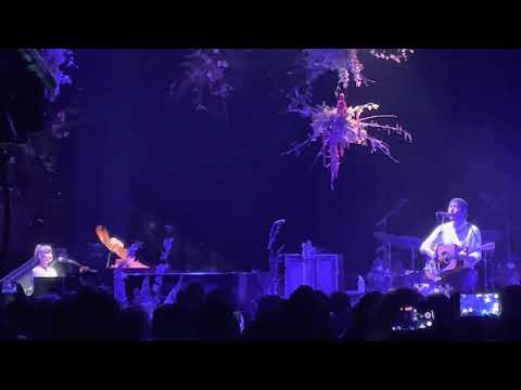 Joanna Newsom & Robin Pecknold - "Blue Spotted Tail" Duet