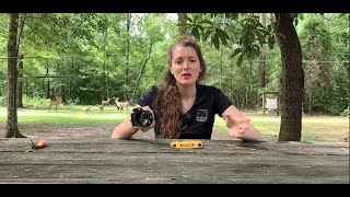 How to Adjust a Bow Sight for Windage and Elevation