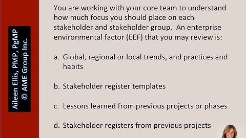 PMP Exam Prep on Enterprise Environmental Factors (EEFs) with Aileen Ellis