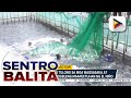 D.A., pinaigting pa ang tulong sa mga magsasaka at mangingisda na posibleng maapektuhan ng...