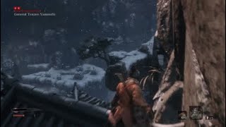 Sekiro Boss Fight Glitch