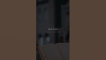یَـٰبُنَیَّ أَقِمِ ٱلصَّلَوٰةَ وَأۡمُرۡ بِٱلۡمَعۡرُوفِ | احمد كمال المنشاوي | سورة لقمان | نهاوند