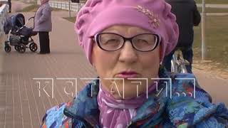 Стая собак, в результате ледохода оказалась заперта на острове. Стая собак, в результате ледохода оказалась заперта на острове.