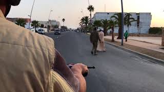 Morocco - Oualidia - Motor Ride