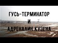 Гусь-терминатор и Адреналин кузена. Открытие охоты на гуся 2021.