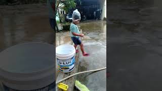 panen telur kura kura #shorts #viral #lucu