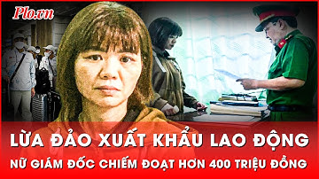 Dùng ‘chiêu’ lừa đảo xuất khẩu qua mạng, nữ giám đốc chiếm đoạt hơn 400 triệu đồng | Tin nhanh
