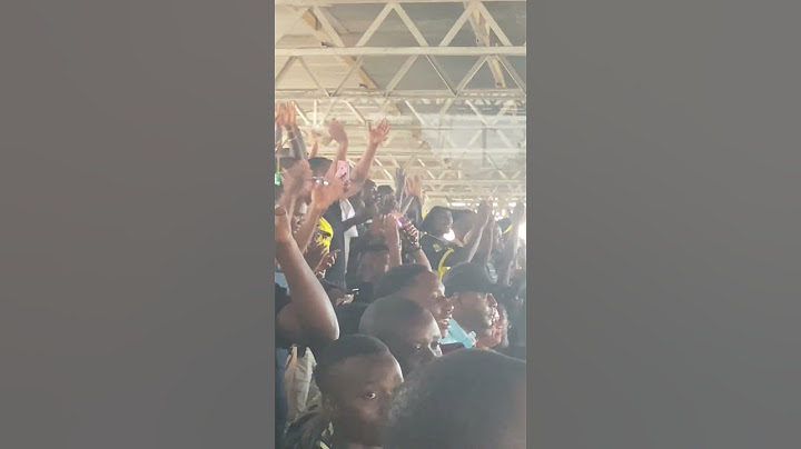 Mashabiki wa Yanga walivyotii agizo la Ally Kamwe #ayomamedia #yangasc #memes #shortsvideo