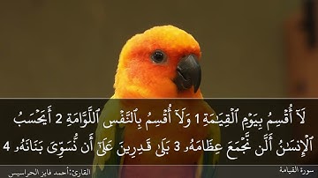 الصفحة 577 سورة المدثر بصوت القارئ المهندس أحمد فايز الحراسيس