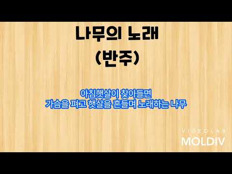 나무의 노래(피아노 반주 & 가사)