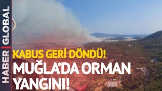 Kabus Geri Döndü! Muğla'da Yangın!