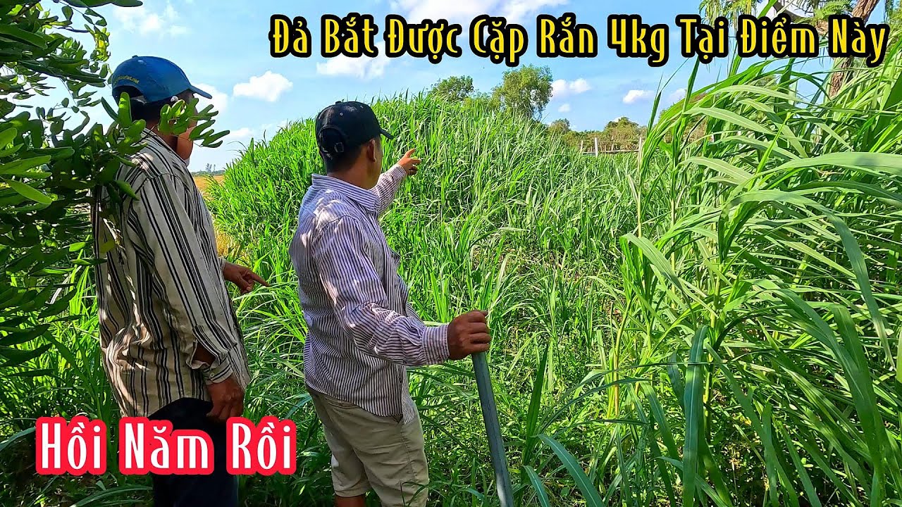 Quây Lại Điểm Đã Bắt Được Cặp Hổ Vện Hơn 4kg Và Cái Kết Có Hậu | Mười Thương SB