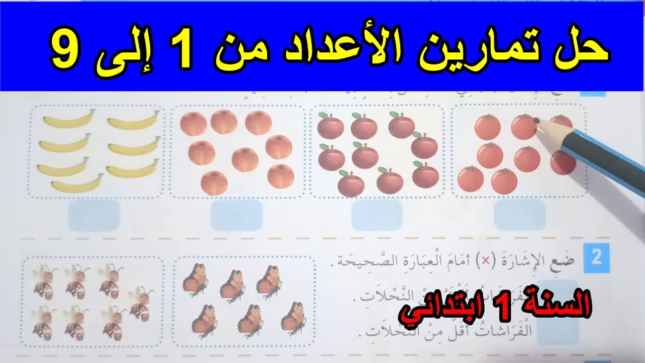 حل تمارين الأعداد من 1 إلى 9 السنة الأولى ابتدائي