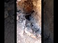 البدو قالوا ده جحر ثعبان ضخم وشوفنا شيء بيلمع جو ه