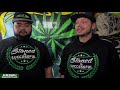 Microbes For Weed Plants EXPLAINED