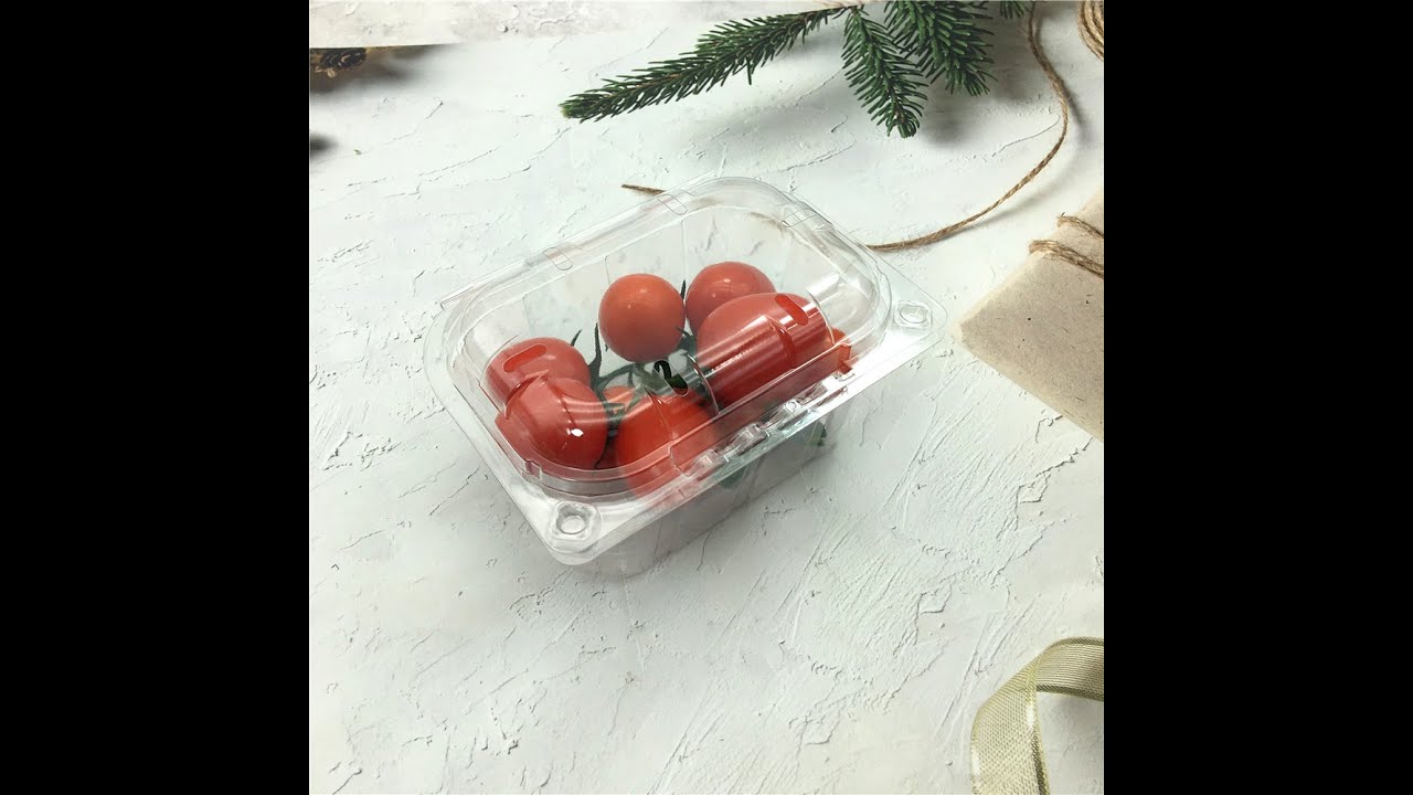 250g plastic clamshells blister for fruit tomato container WhatsApp:0086-18661900885