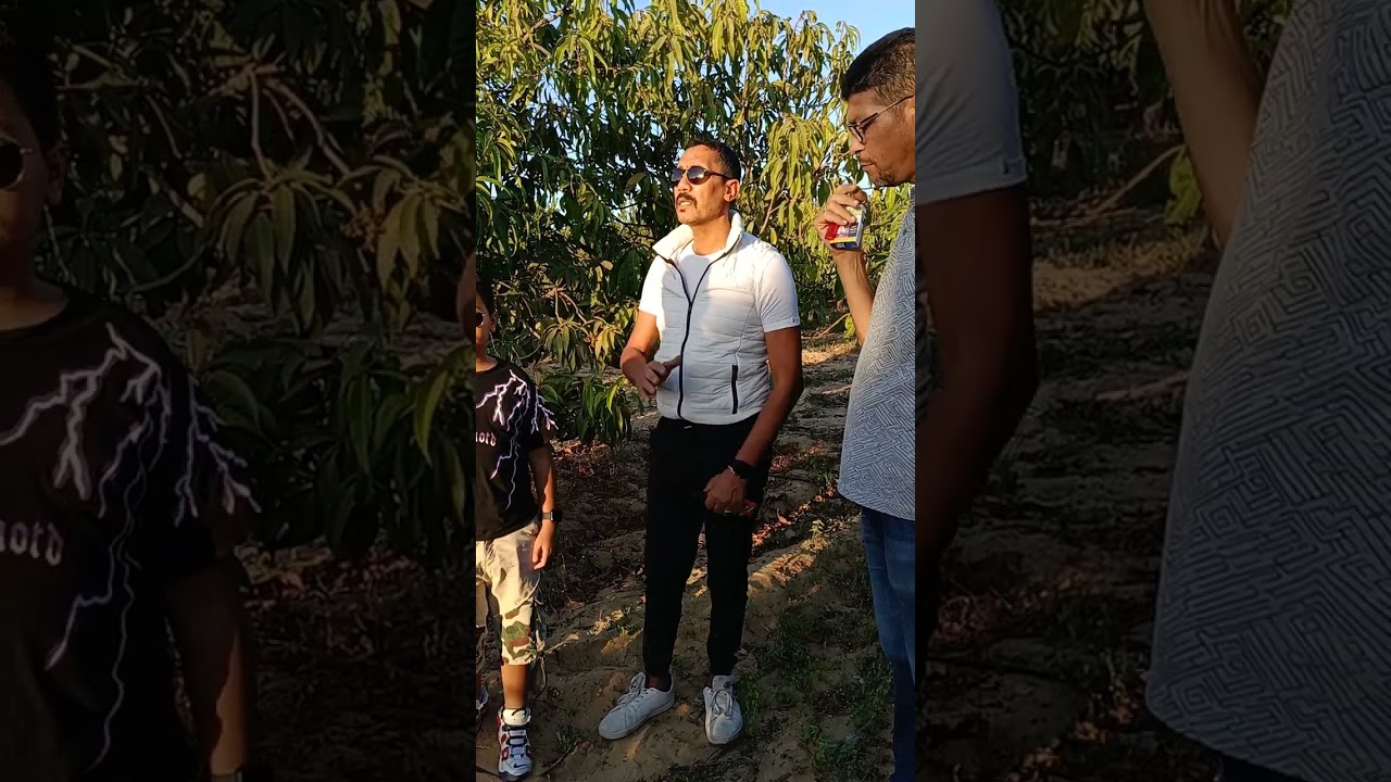 زياره ومعلومه عن مقاومة الحشائش في مزارع المانجو 23/10/2023