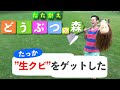 【あつ森】どうぶつにお金を盗まれてブチギレる村人