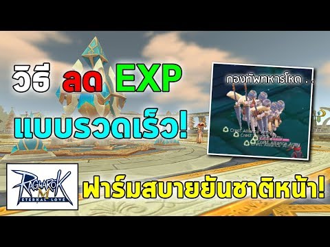 วิธีลด EXP แบบรวดเร็ว ฟาร์มสบายยันชาติหน้า! | Ragnarok M Eternal Love (RO M)