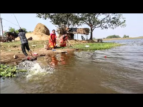 Fishing Video || Village lady know how to catch fish using all kinds of ...