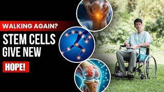 Walking Again? Japan’s Stem Cell Research Offers New Hope!