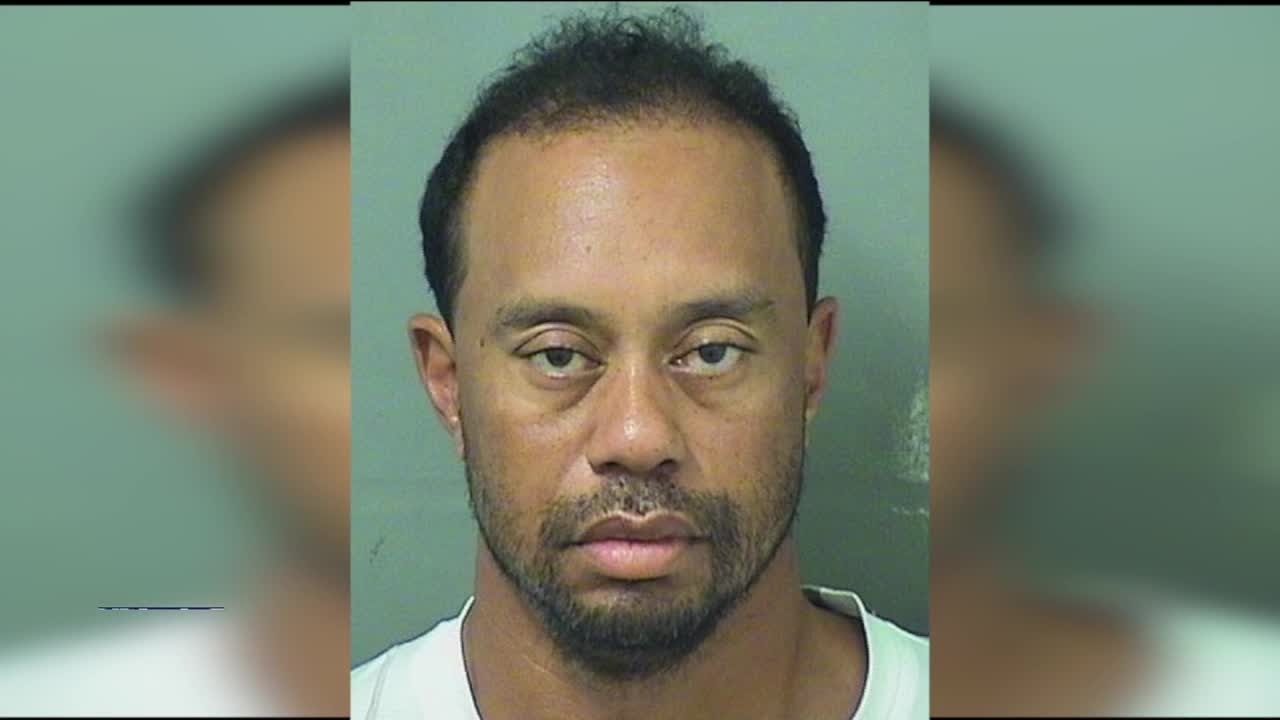 Tiger Woods: Alcohol 'not involved' in arrest