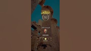 الم ترى كيف فعل ربك بعادارم ذات العماد سورة الفجرالشيخ سعيد الخطيب