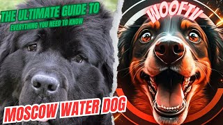 The Ultimate Guide To Moscow Water Dog Everything You Need To Know