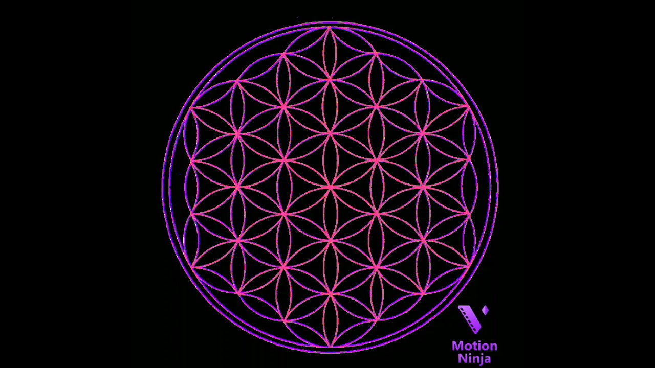 Исцеляющая музыка. Матрицы профессора Гаряева П.П. Матрица для женщин ...