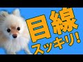 目線スッキリ、チャートをシンプルにするNゾーンと３本の水平線。