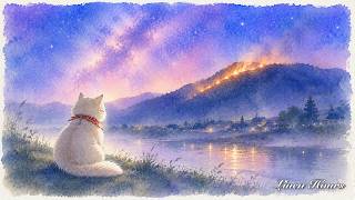 Sleep Music & Gentle Solo Piano 🌌🔥🐱｜Okuribi Farewell Fires on a Quiet Night (3 Hours)