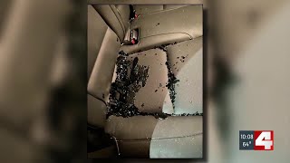 10 cars broken into downtown, victim shocked that police didn’t show up 10 cars broken into downtown, victim shocked that police didn’t show up