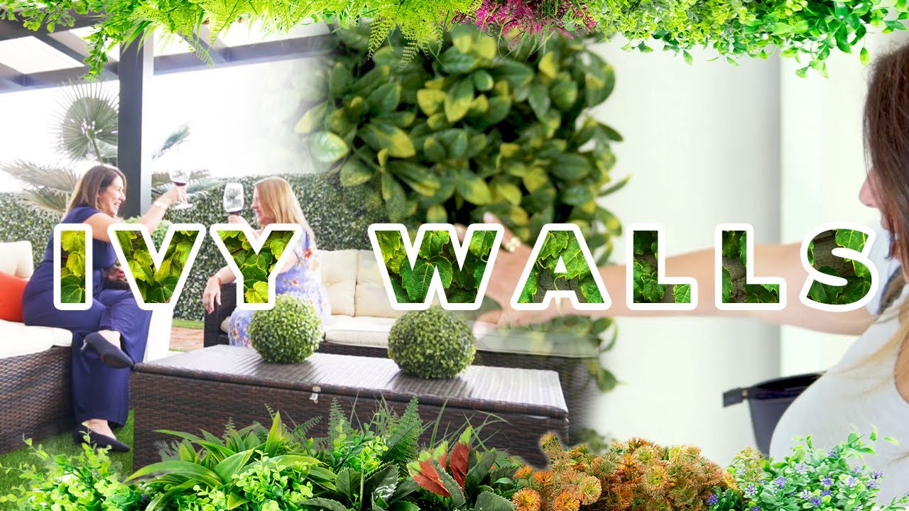 Ivy Walls from Top Turf Wholesale Best Decoration Options for your