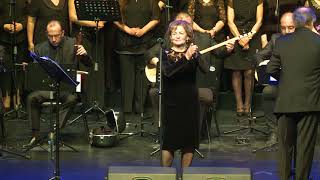 Tavuklar Guli Guli Talia Yavuz Solo Resimi