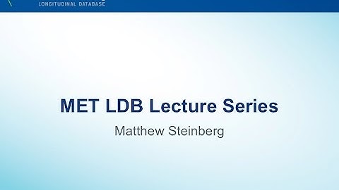 MET LDB Lecture Series: Matthew Steinberg