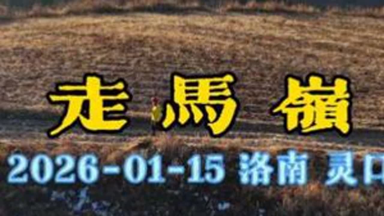 冬日暖阳走马岭