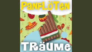 Video thumbnail of "Pan Flute Dreamsound - Feelings"