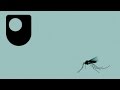 Understanding Zoonosis and Vector-Borne Diseases